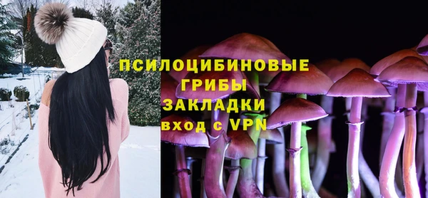 эйфоретик Кукмор
