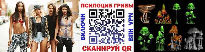 Купить где  Павловский Посад  Галлюциногенные грибы Cubensis 